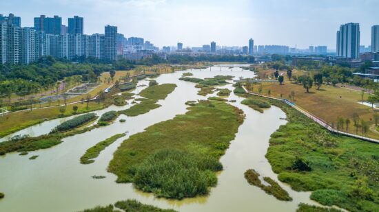 Aerial,Photography,Of,A,River,Swamp,In,A,Wetland,Park