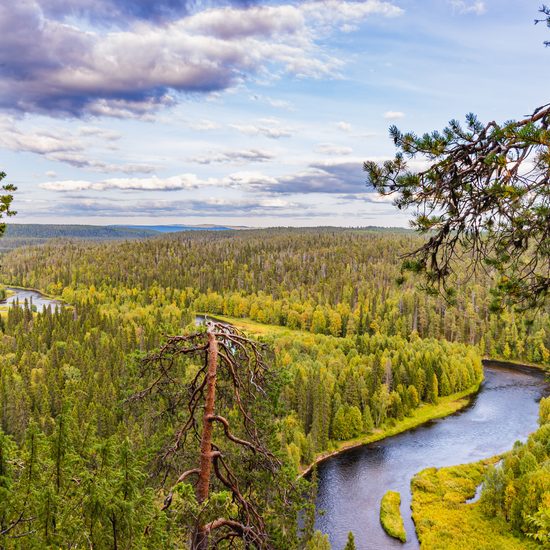 Aerial,View,Of,Oulanka,National,Park,And,Kitkajoki,River,In