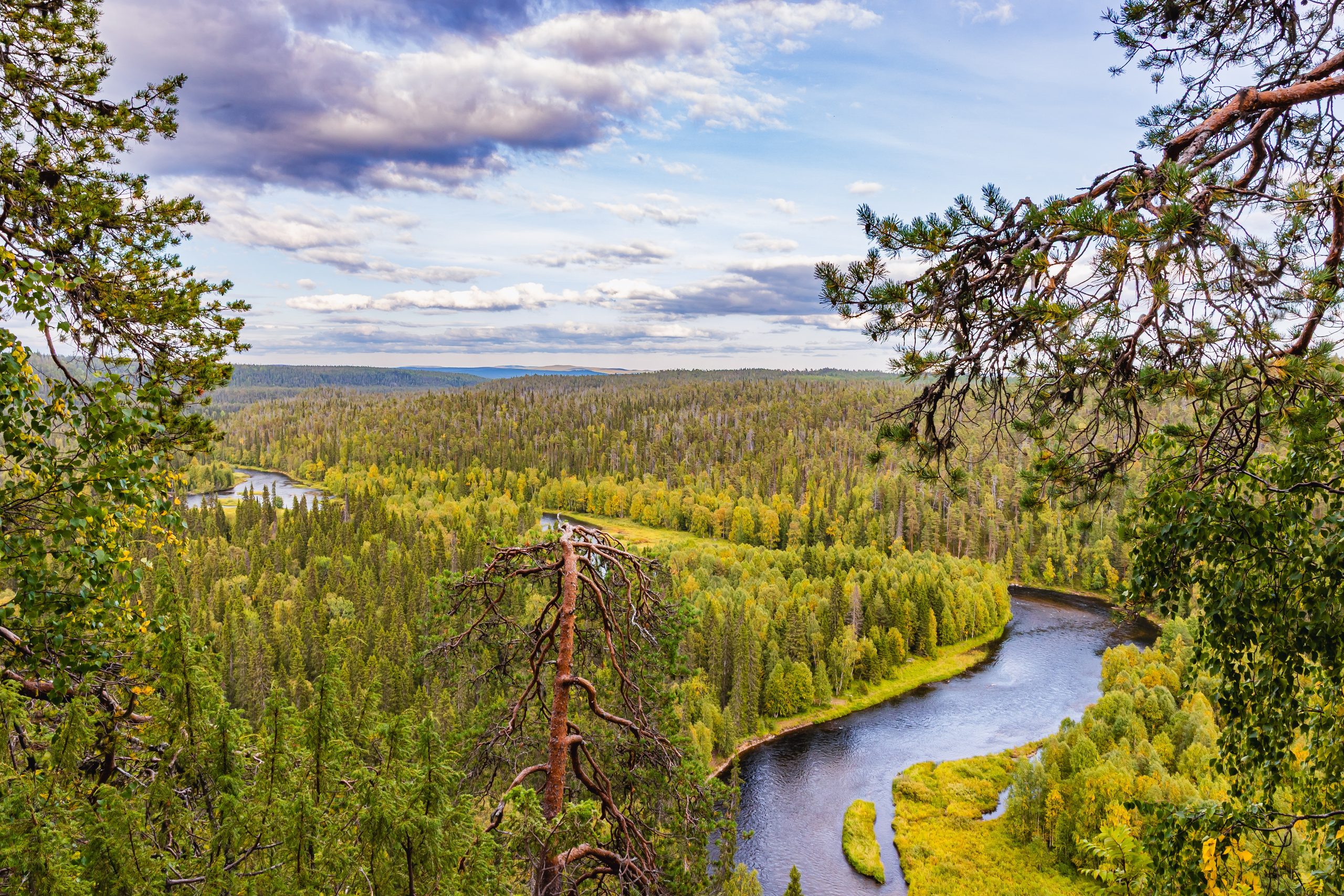 Aerial,View,Of,Oulanka,National,Park,And,Kitkajoki,River,In